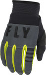 Fly Racing F-16 越野摩托車手套