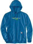 Carhartt Lightweight Logo Graphic Hættetrøje