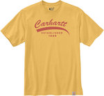 Carhartt Relaxed Fit Heavyweight Graphic Camiseta