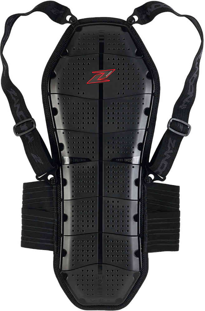 Protector De Espalda Para Moto Dainese Pro Armor Largo